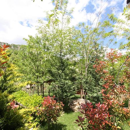 Lugina E Shengjergjit ,Bujtinat Villa Tirana Exteriör bild