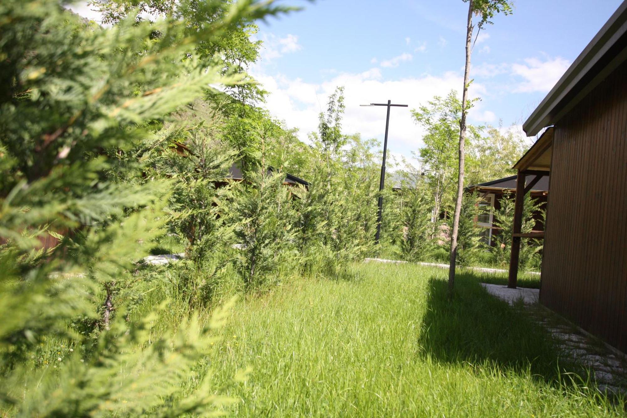Lugina E Shengjergjit ,Bujtinat Villa Tirana Exteriör bild